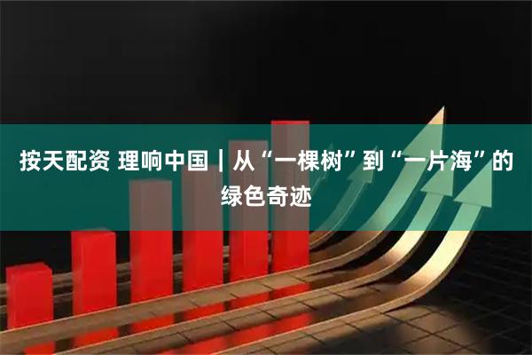 按天配资 理响中国|从“一棵树”到“一片海”的绿色奇迹